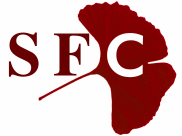 Société Française de Cliodynamique
